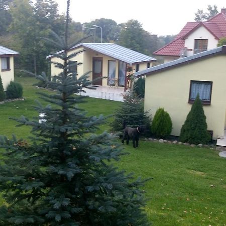 Domki Letniskowe W Wapnicy Villa Lubin  Екстериор снимка
